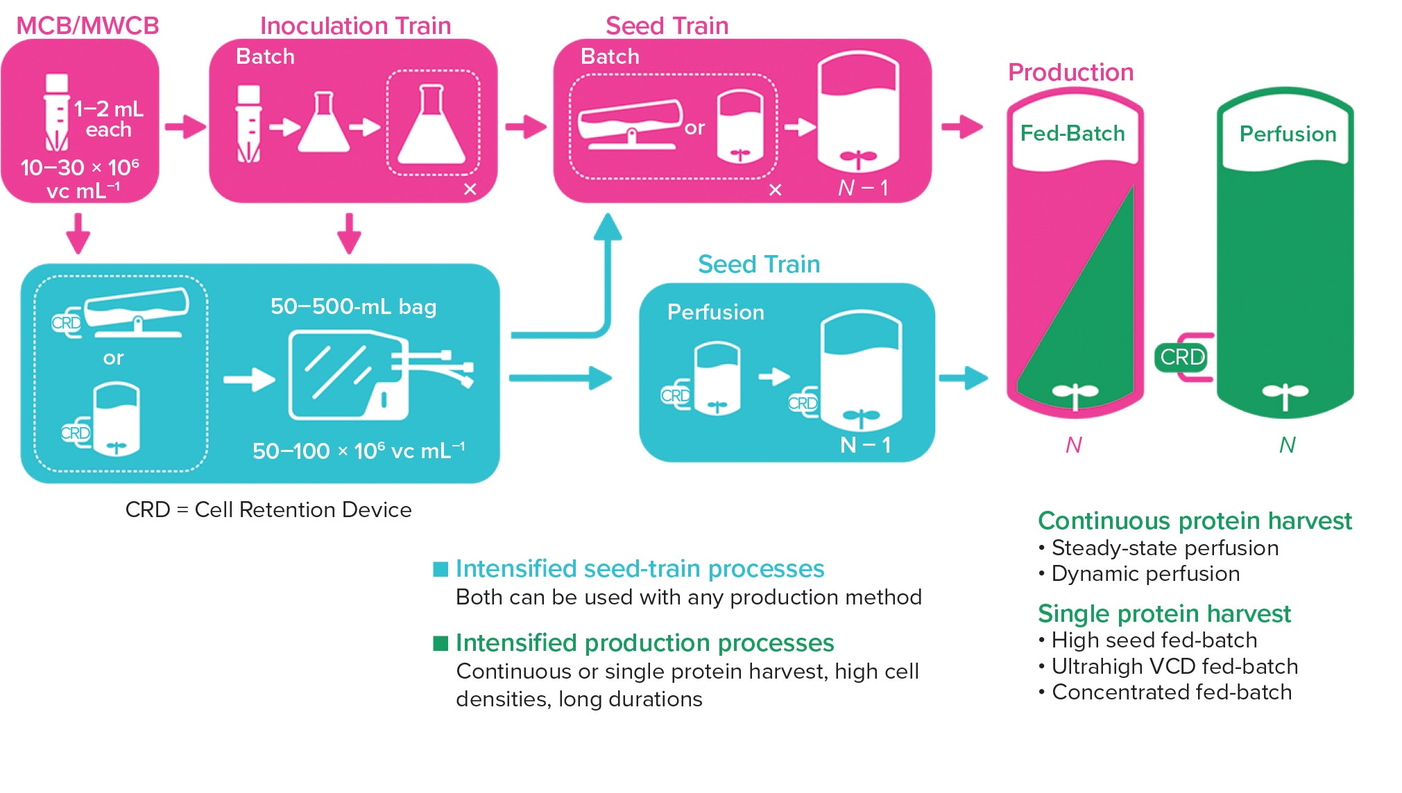 高细胞密度冷冻保存介质在上游工艺 BioProcess International