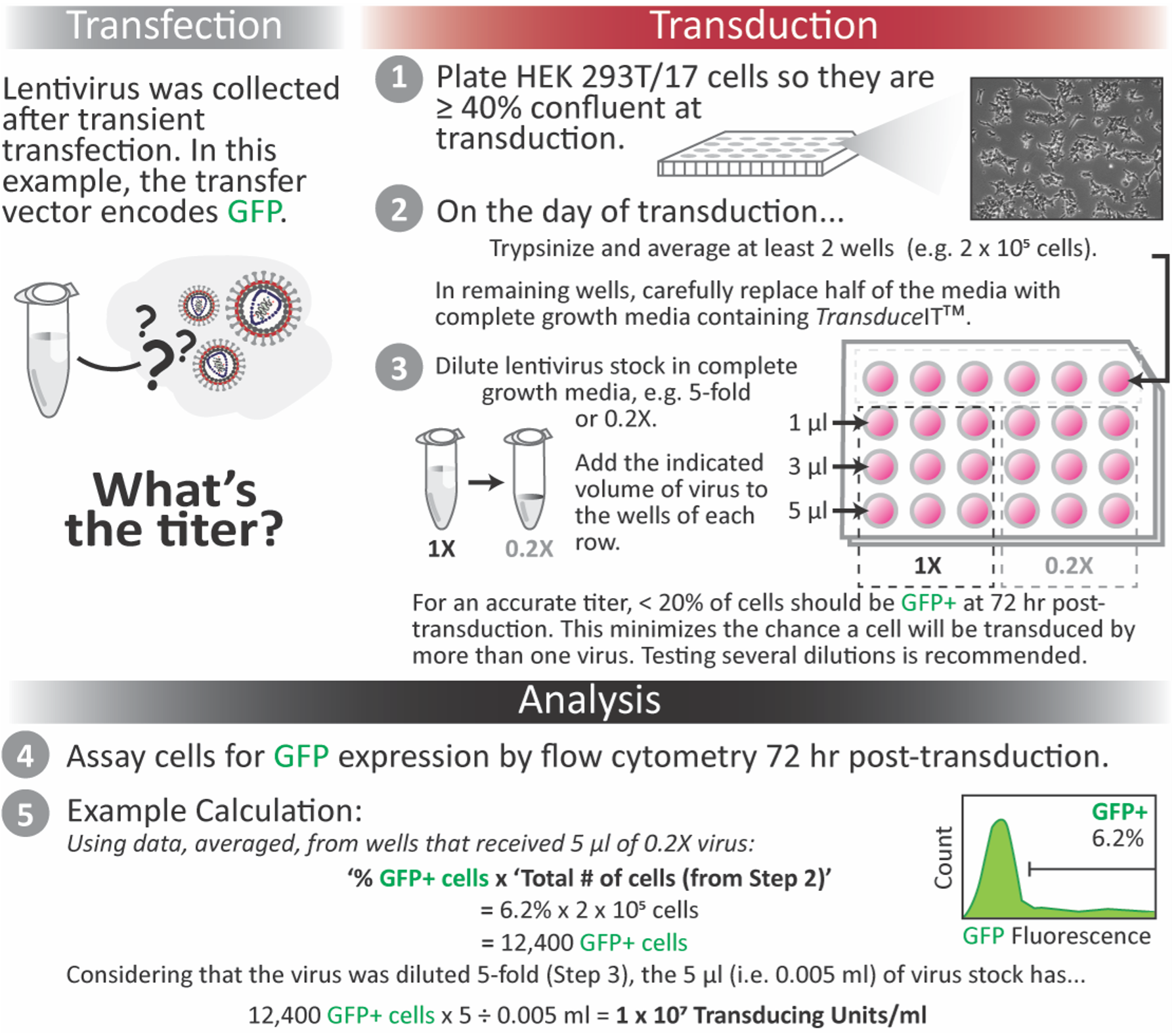 Understand viral titer and quality BioProcess InsiderBioProcess